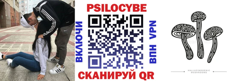 Купить где  Калининец  Галлюциногенные грибы Psilocybe 